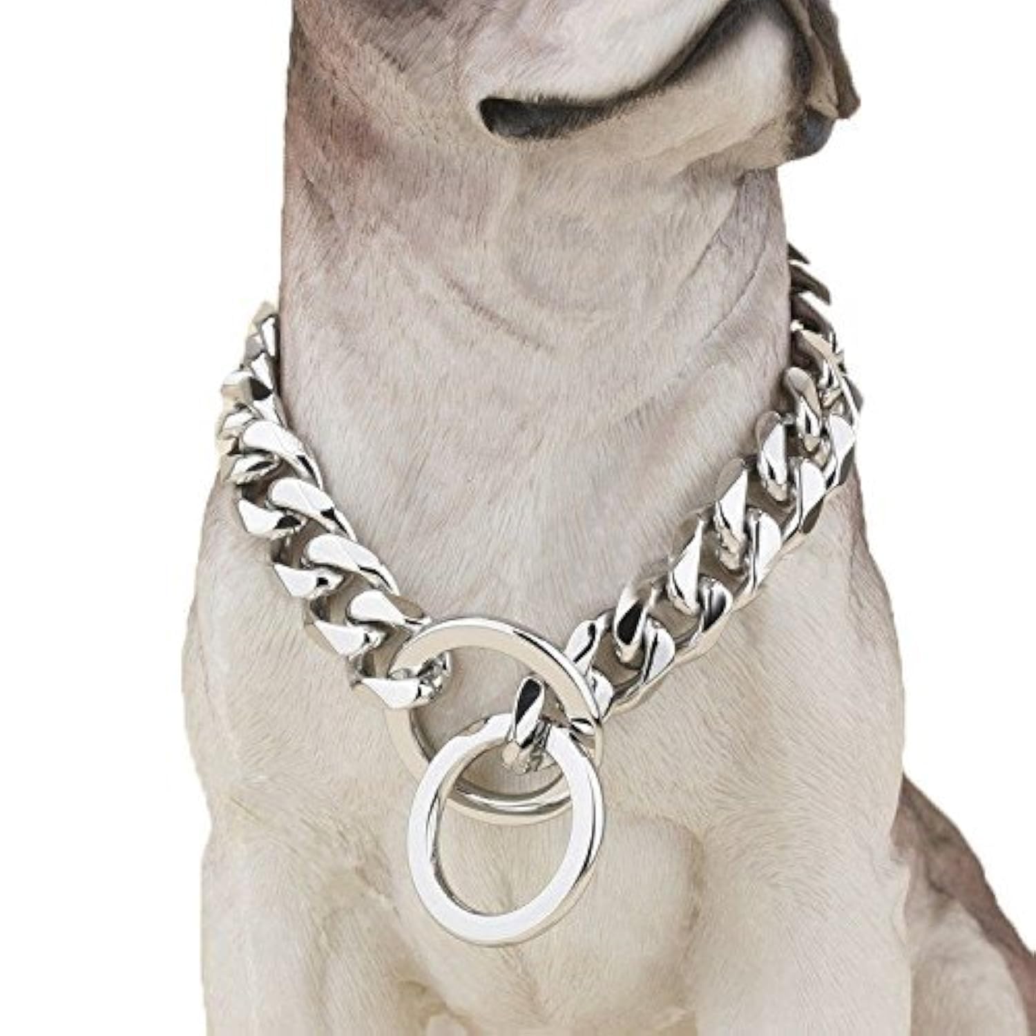 Amazon.com : Silver Phantom Jewelry Cuban Chain Dog Collar
